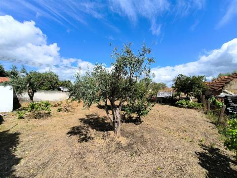 Moradia T2 inserida em lote com 849m2 em Ermidas-Sado