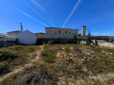 Terreno para Construção em Ermidas-Sado