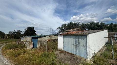 Terreno Rústico com 37ha, Beringelinho, Castro Verde