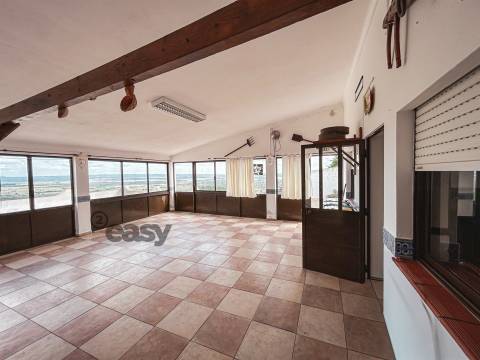 Moradia T3 e Terreno Rústico nas proximidades de Évora