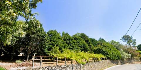 Terreno 1.500m² Vilar de Mouros | Construção Moradia | Caminha