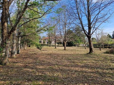 Terreno 1.500m² Vilar de Mouros | Construção Moradia | Caminha