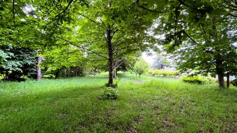 Terreno 1.500m² Vilar de Mouros | Construção Moradia | Caminha