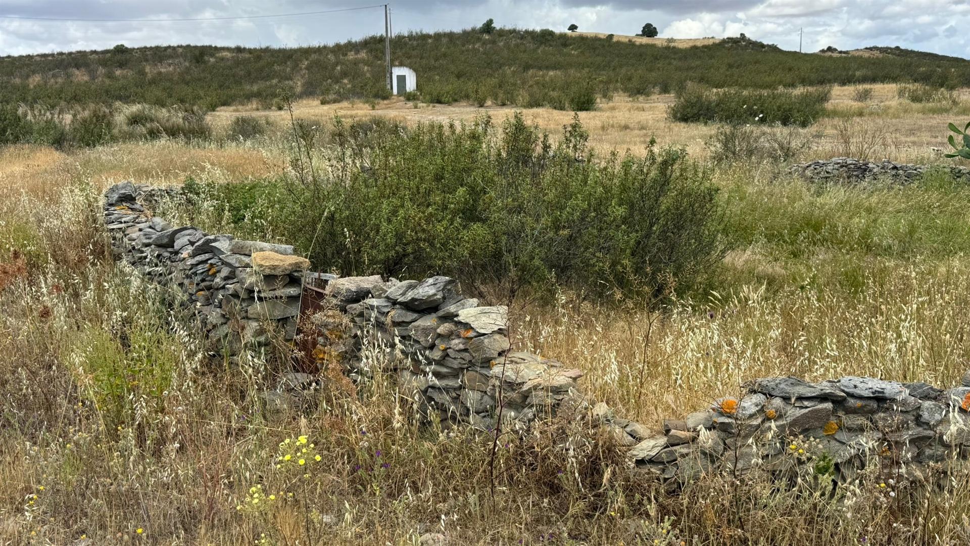Terreno Urbano para Construção com 1685m2 , São João dos Caldeireiros, Mértola