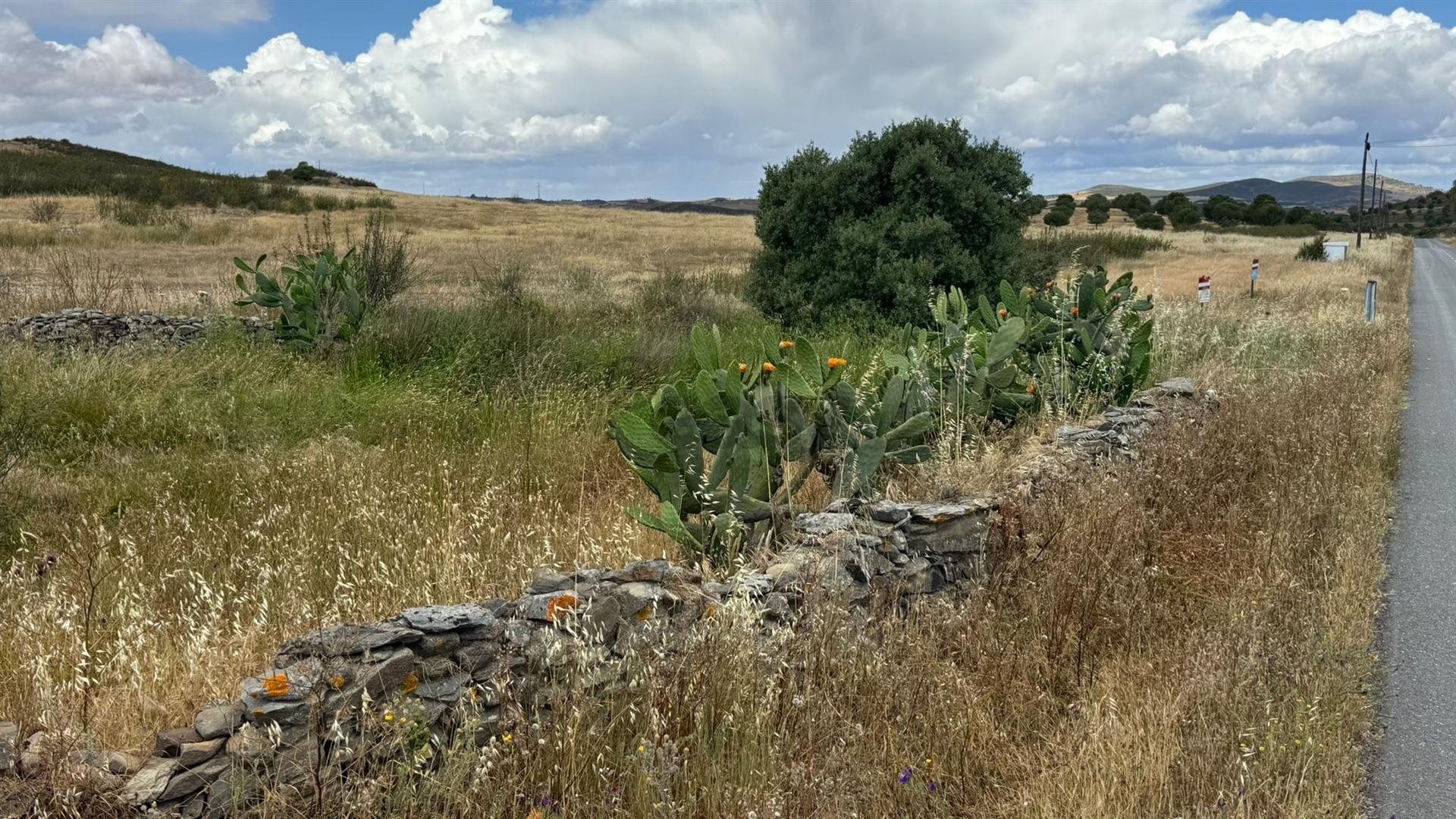 Terreno Urbano para Construção com 1685m2 , São João dos Caldeireiros, Mértola