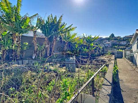 Moradia Isolada T3 Venda em São Roque,Funchal