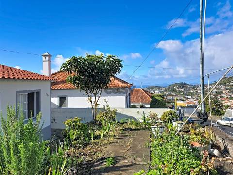 Moradia Isolada T3 Venda em São Roque,Funchal