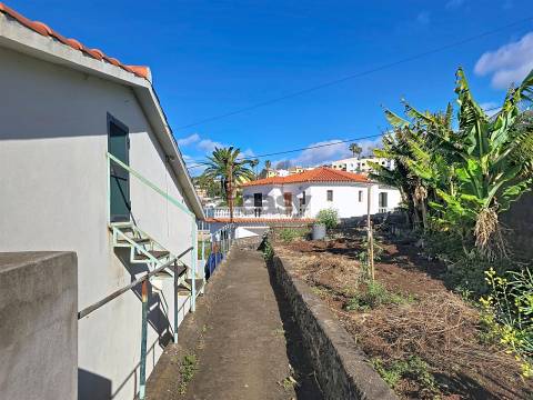 Moradia Isolada T3 Venda em São Roque,Funchal