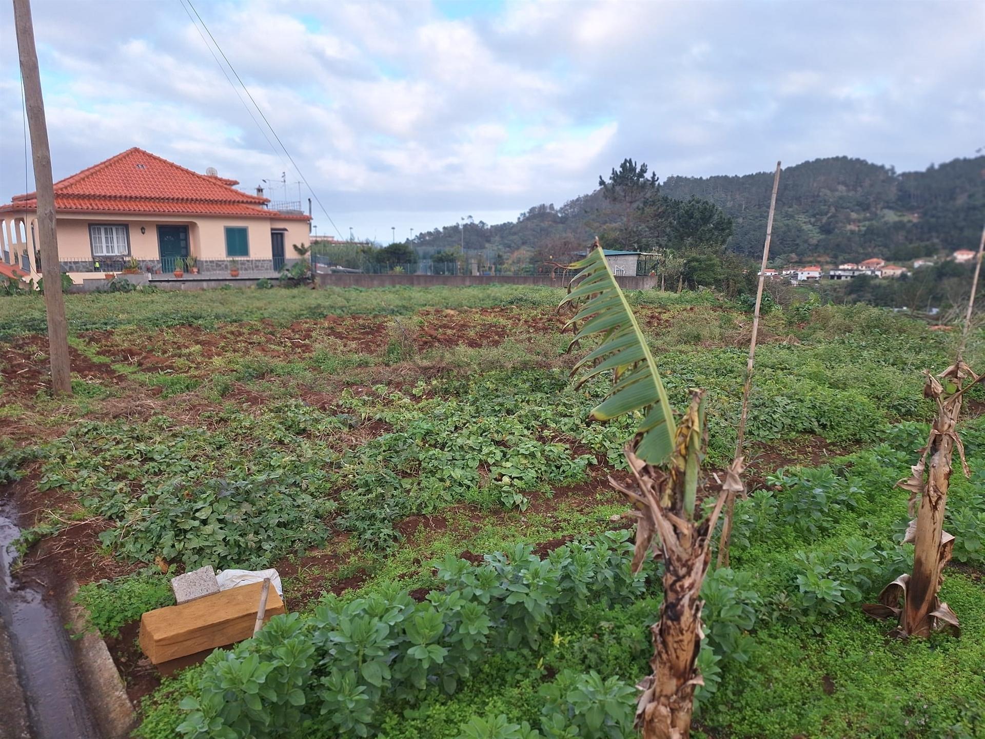 Madeira | Terreno com Potencial Extraordinário e Vista Mar