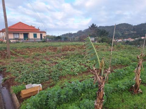 Madeira | Terreno com Potencial Extraordinário e Vista Mar