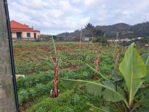 Madeira | Terreno com Potencial Extraordinário e Vista Mar