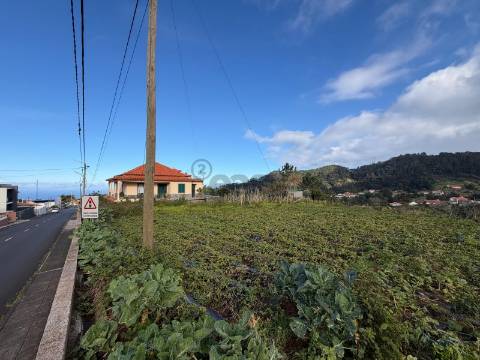 Madeira | Terreno com Potencial Extraordinário e Vista Mar
