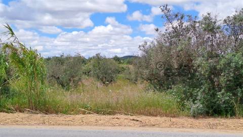 Terreno Rústico para Venda em Vidigueira, com 6 750 m².