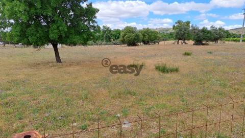 Terreno Rústico para Venda em Vidigueira, com 9 500 m²
