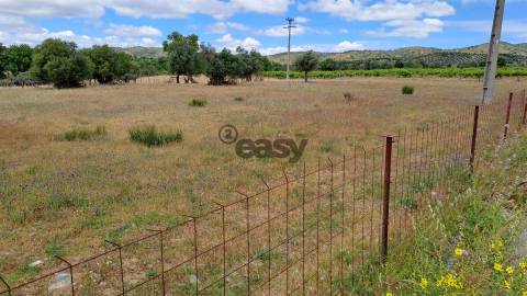 Terreno Rústico para Venda em Vidigueira, com 9 500 m²