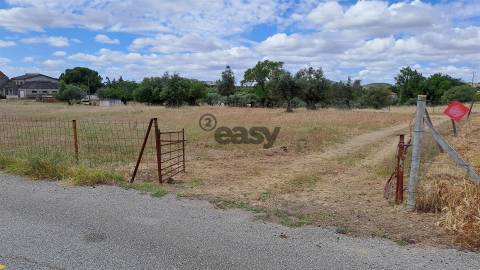 Terreno Rústico para Venda em Vidigueira, com 9 500 m²