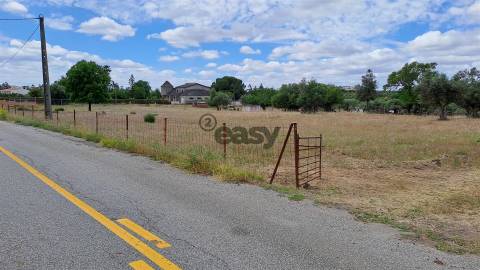 Terreno Rústico para Venda em Vidigueira, com 9 500 m²