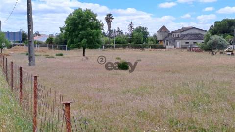 Terreno Rústico para Venda em Vidigueira, com 9 500 m²