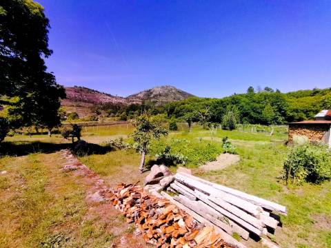 Moradia T2 em Vilar de Mouros com 3000m² de Terreno | Caminha