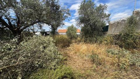 Moradia Térrea com 6 divisões e Quintal para remodelar