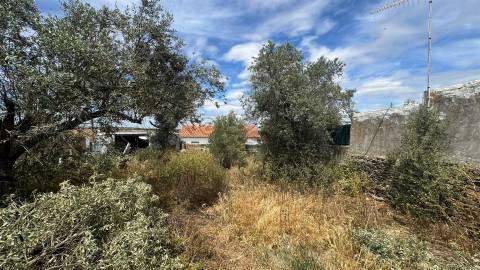 Moradia Térrea com 6 divisões e Quintal para remodelar