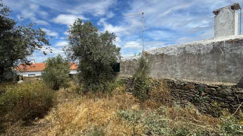 Moradia Térrea com 6 divisões e Quintal para remodelar