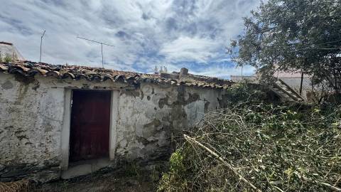 Moradia Térrea com 6 divisões e Quintal para remodelar