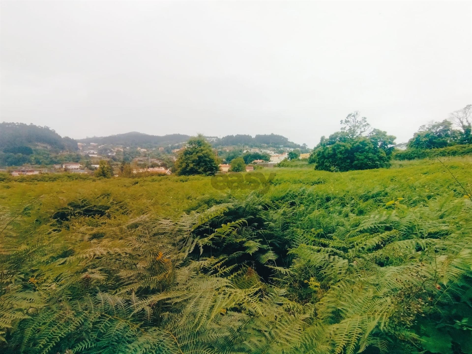 Terreno de Luxo em Caminha (5.000 m²) | Investimento Premium