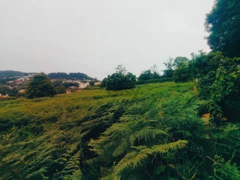 Terreno de Luxo em Caminha (5.000 m²) | Investimento Premium