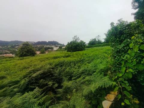 Terreno de Luxo em Caminha (5.000 m²) | Investimento Premium