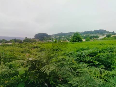 Terreno de Luxo em Caminha (5.000 m²) | Investimento Premium