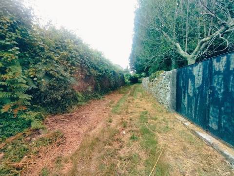 Terreno de Luxo em Caminha (5.000 m²) | Investimento Premium