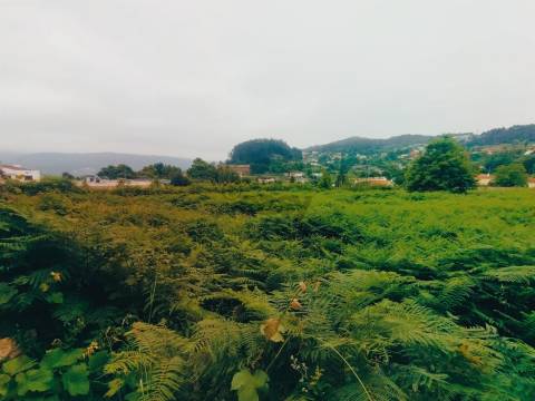 Terreno de Luxo em Caminha (5.000 m²) | Investimento Premium