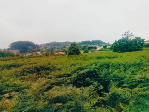 Terreno de Luxo em Caminha (5.000 m²) | Investimento Premium