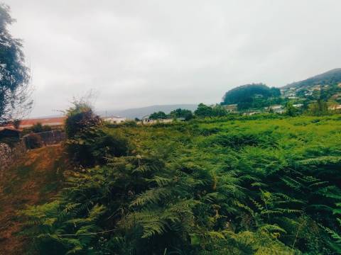 Terreno de Luxo em Caminha (5.000 m²) | Investimento Premium