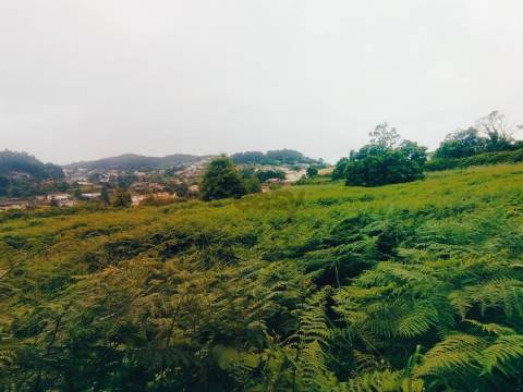 Terreno de Luxo em Caminha (5.000 m²) | Investimento Premium