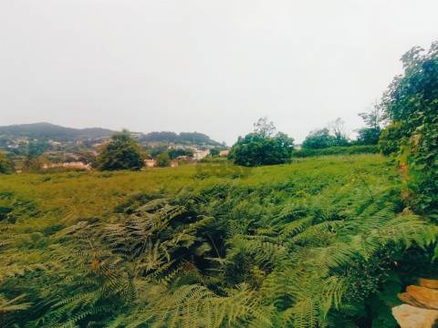 Terreno de Luxo em Caminha (5.000 m²) | Investimento Premium