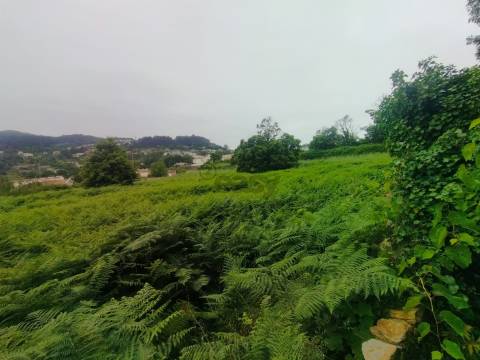 Terreno de Luxo em Caminha (5.000 m²) | Investimento Premium