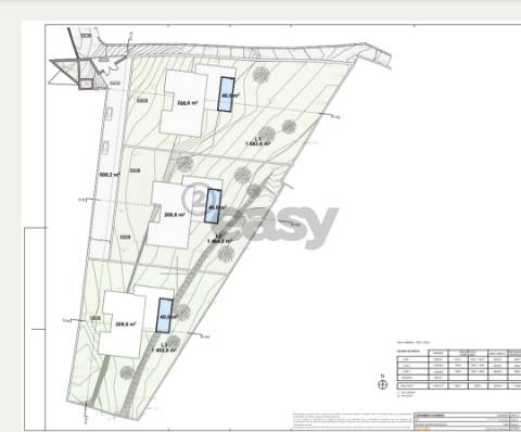 Terreno de Luxo em Caminha (5.000 m²) | Investimento Premium