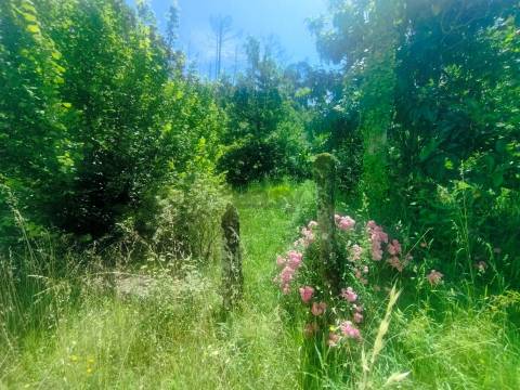 Propriedade com Ruína e Vista Rio para Turismo em Caminha