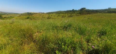Terreno com 19.400 m²