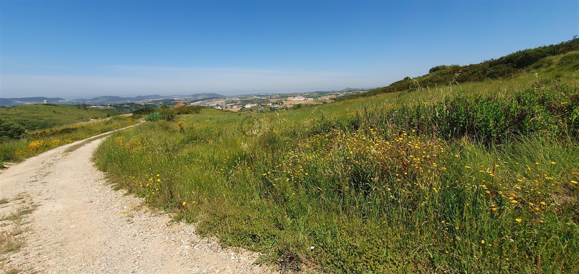Terreno com 19.400 m²