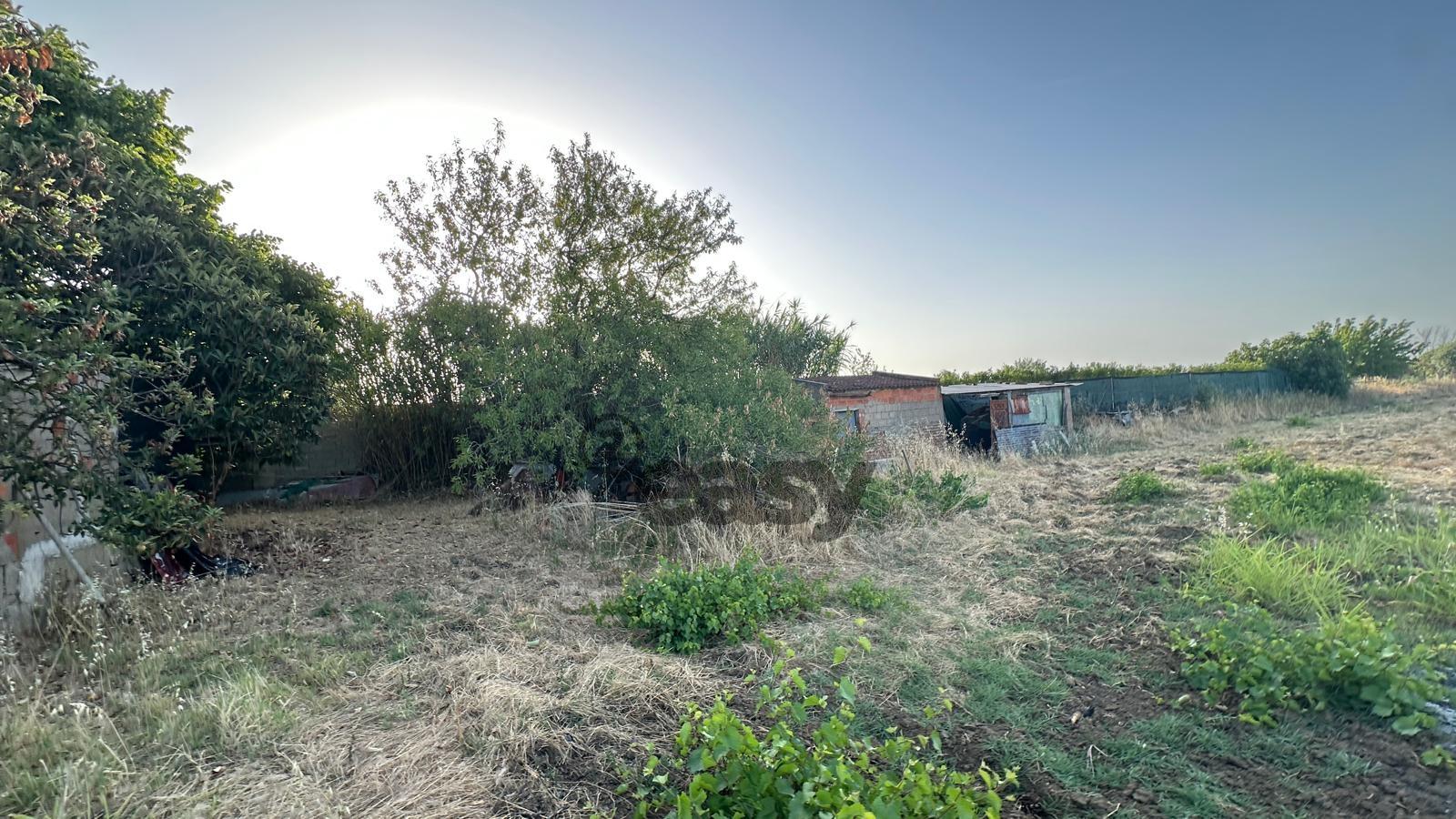 Terreno Rústico com 1,1 Hectares na Vidigueira