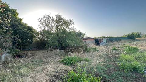 Terreno Rústico com 1,1 Hectares na Vidigueira