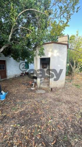 Terreno Rústico com 1,1 Hectares na Vidigueira