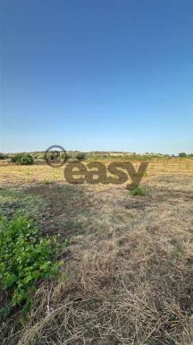 Terreno Rústico com 1,1 Hectares na Vidigueira