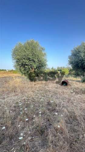Terreno Rústico com 1,1 Hectares na Vidigueira