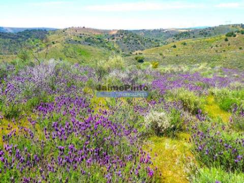 78.000m2 Terreno para Plantações e para construção Casa de Campo. Portugal, Alfândega da Fé.
