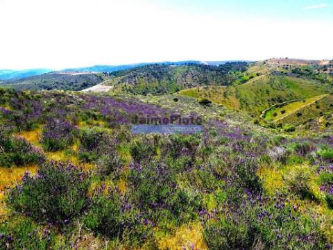 78.000m2 Terreno para Plantações e para construção Casa de Campo. Portugal, Alfândega da Fé.