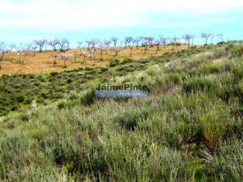 78.000m2 Terreno para Plantações e para construção Casa de Campo. Portugal, Alfândega da Fé.